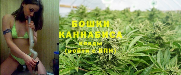 гидропоника Карталы
