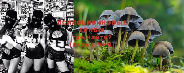 стафф Киренск