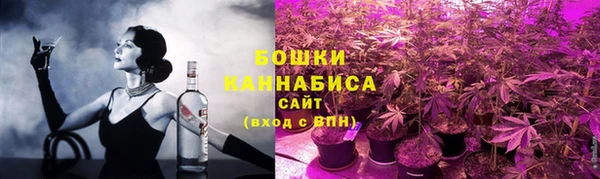 дмт Козельск